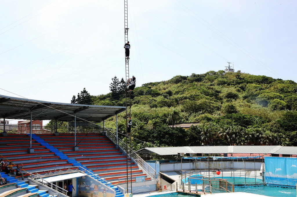 北海岸推薦親子景點，野柳海洋世界，海豚、海獅、高空跳水表演，