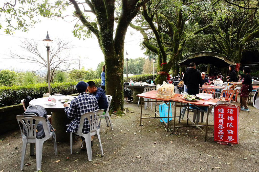 陽明山土雞景觀餐廳推薦，竹子湖杉木林餐廳白斬雞、野菜、寵物友