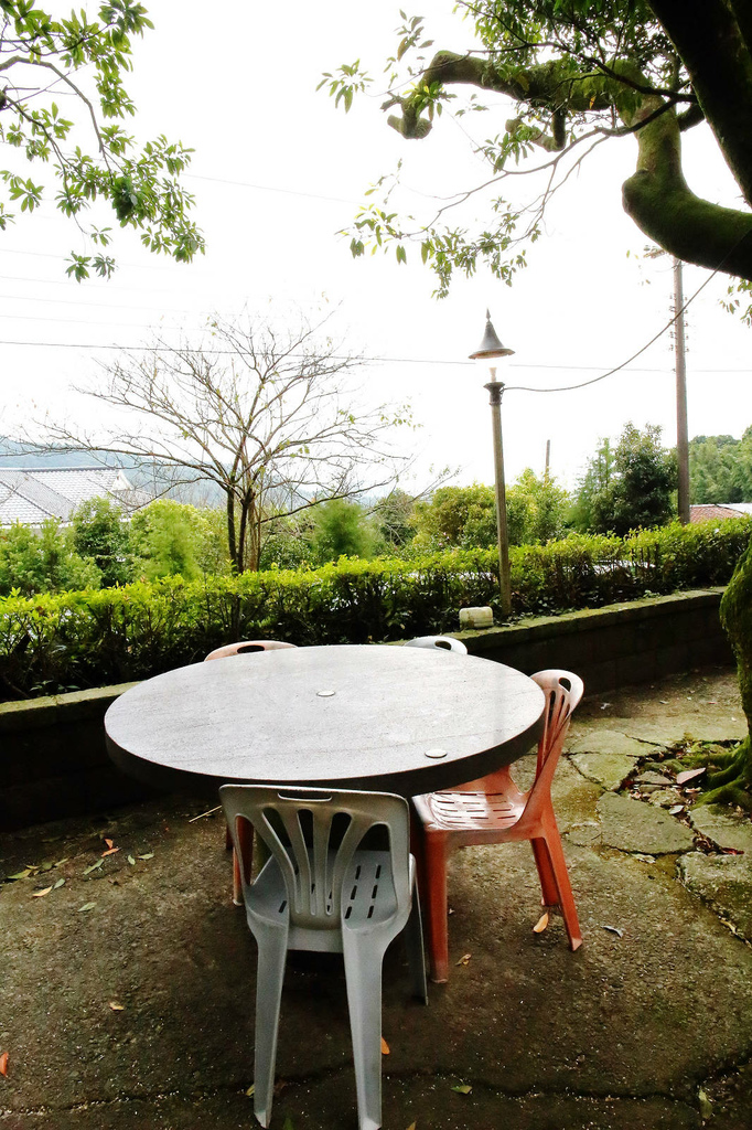 陽明山土雞景觀餐廳推薦，竹子湖杉木林餐廳白斬雞、野菜、寵物友