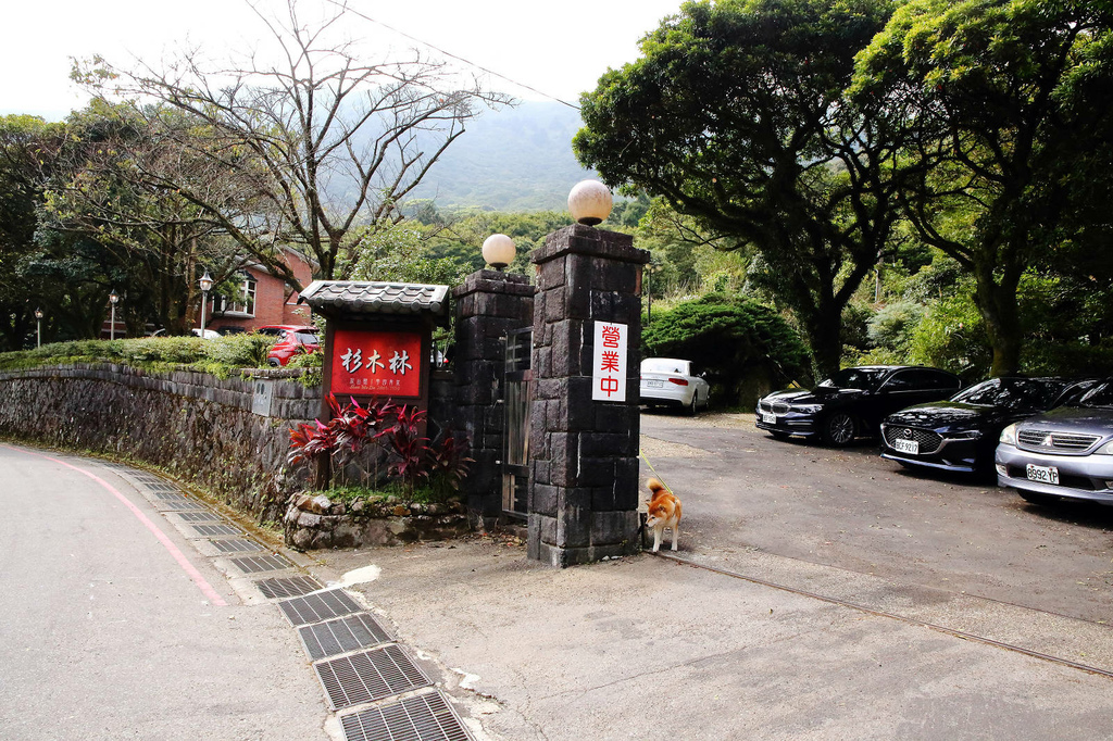 陽明山土雞景觀餐廳推薦，竹子湖杉木林餐廳白斬雞、野菜、寵物友