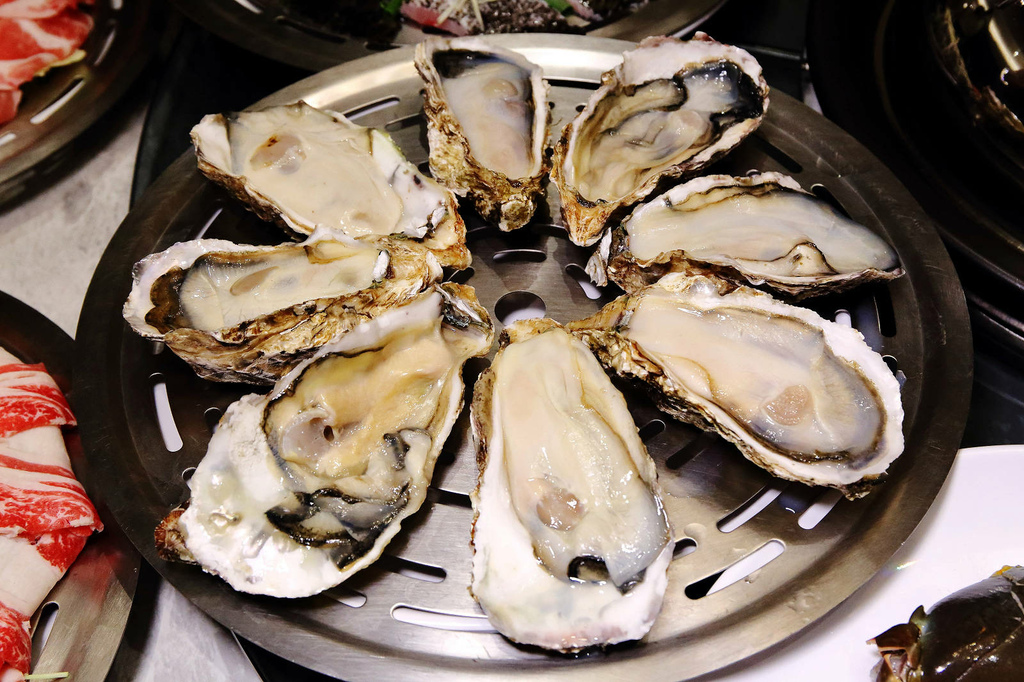 新莊美食推薦，新莊典華濤濤海鮮蒸氣鍋，新鮮海鮮、現蒸現吃，C