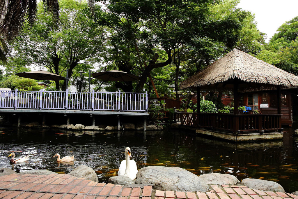 高雄親子景點寵物友善景觀餐廳。喝咖啡看飛機、可愛動物區互動、