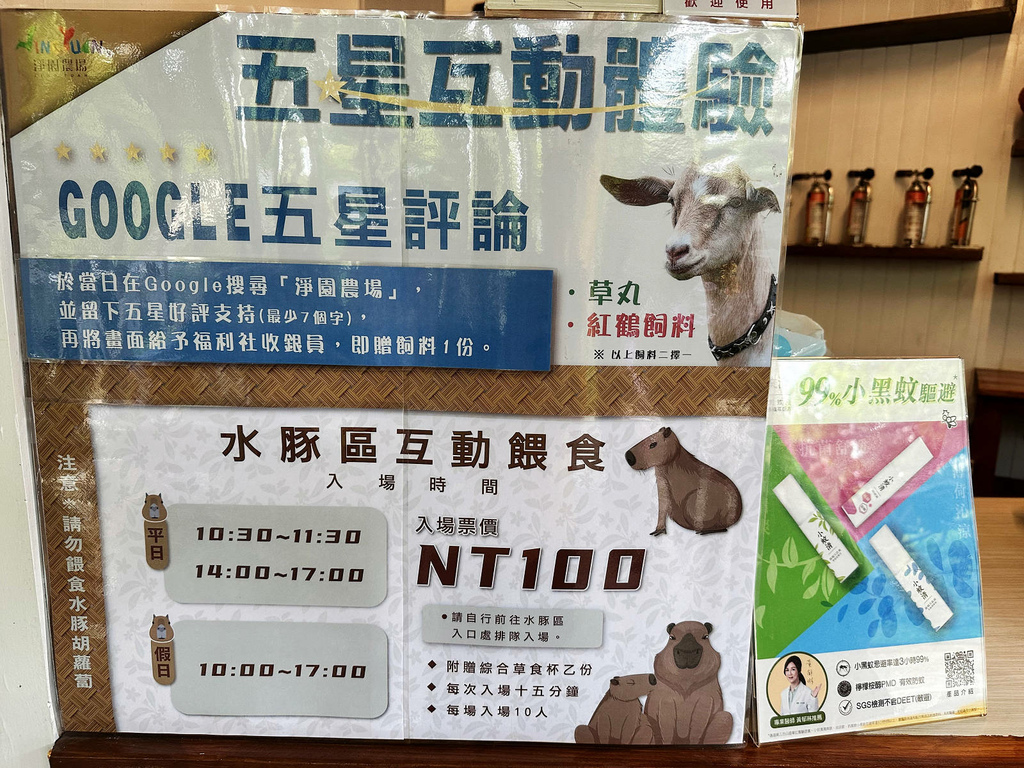 高雄親子景點寵物友善景觀餐廳。喝咖啡看飛機、可愛動物區互動、