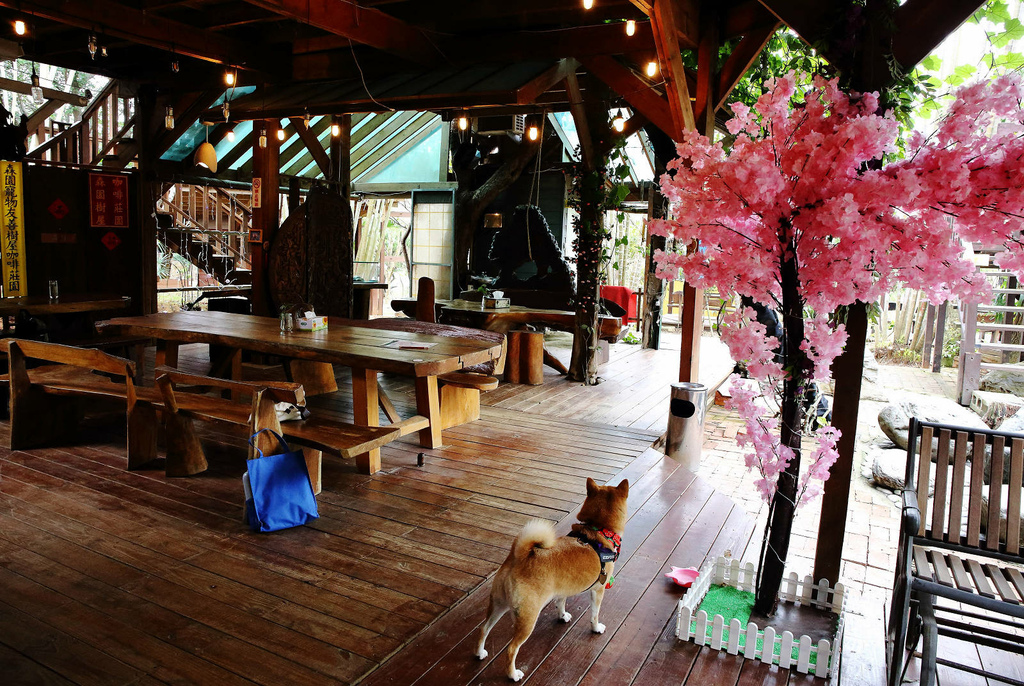 新竹寵物友善餐廳，森園寵物友善樹屋咖啡莊園，咖啡好喝，寵物超