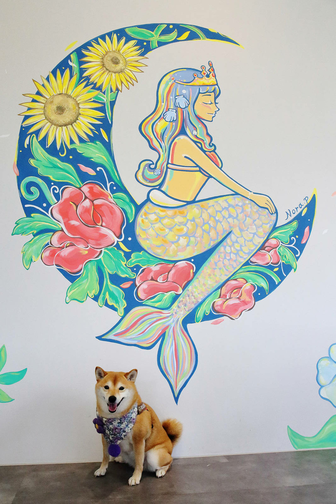 Mermaid茉美寵物友善餐廳，桃園蘆竹新開幕的寵物咖啡廳，