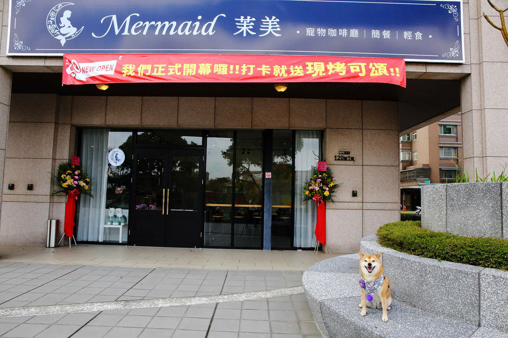 Mermaid茉美寵物友善餐廳，桃園蘆竹新開幕的寵物咖啡廳，