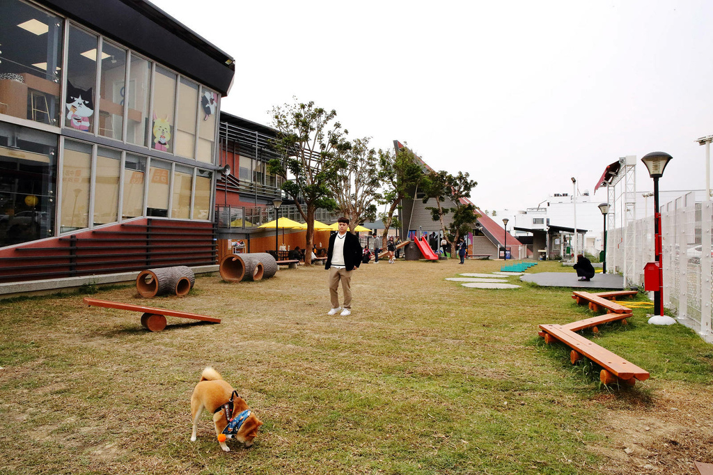 台中全新寵物餐廳開幕！瘋狂尾巴寵物遊樂園，結合了寵物餐廳、寵