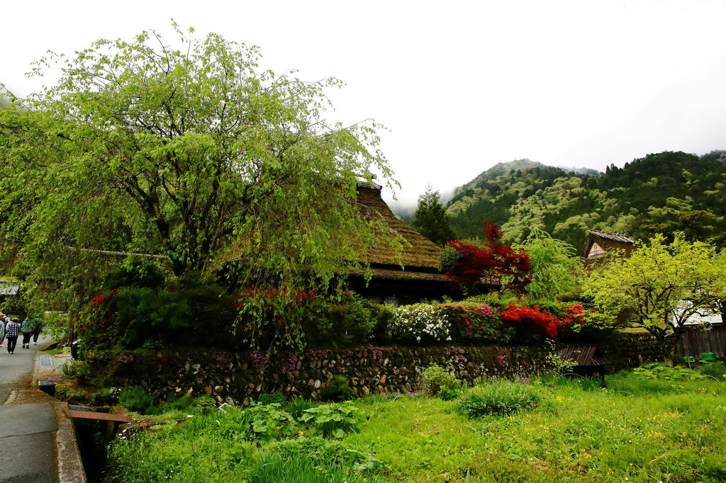 京都秘境-美山茅草屋之里｜美山合掌村，日本三大合掌村之一，被