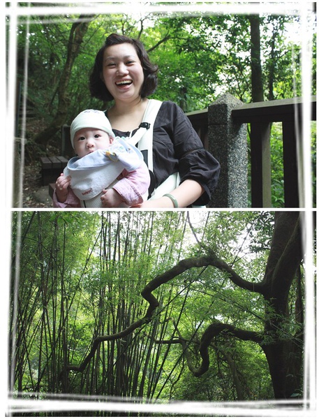 Ian n.mama 陽明山 4 months.jpg