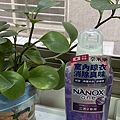 IMG_8195.jpeg