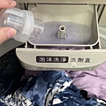 IMG_8203.jpeg