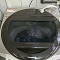 IMG_8198.jpeg