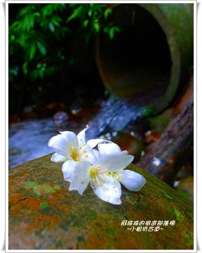 6lCBX2L6GQHKO3Q69HDspA.jpg