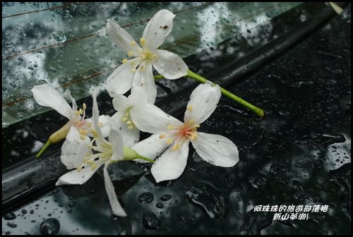 uYq0XAYRIfYUM6qRMSpC7g.jpg uYq0XAYRIfYUM6qRMSpC7g.jpg