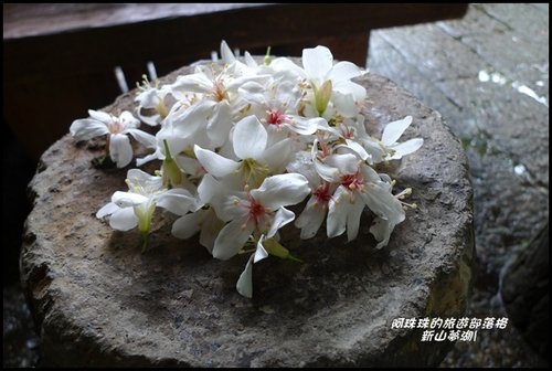 welkT9I1CVk.irBwOlxU_g.jpg welkT9I1CVk.irBwOlxU_g.jpg