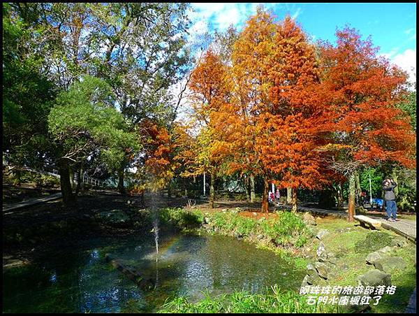 石門水庫楓紅了29.JPG