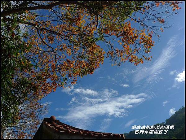 石門水庫楓紅了45.JPG