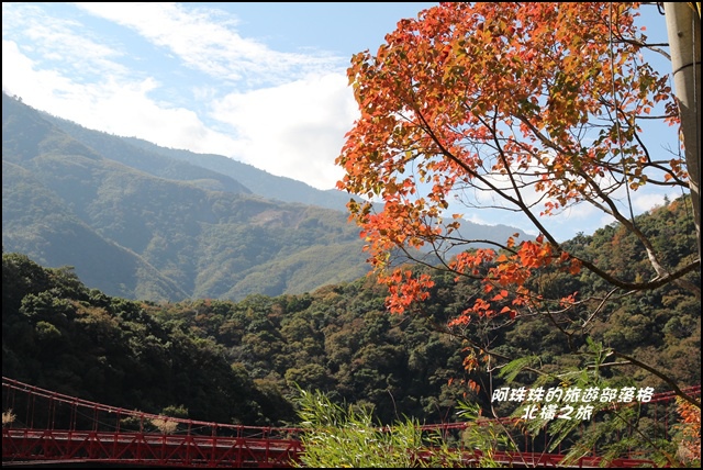 北橫之旅14.JPG