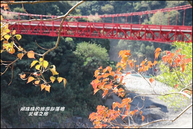 北橫之旅15.JPG