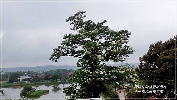 十一指古道10.jpg 十一指古道10.jpg