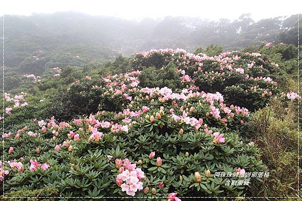 合歡東峰11.JPG