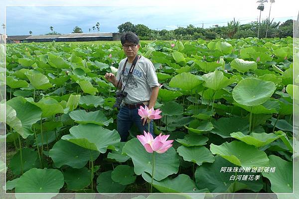 白河蓮花季40.JPG