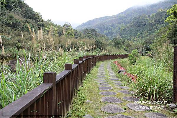 烏來福山古圳步道3.JPG