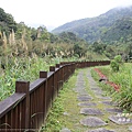 烏來福山古圳步道3.JPG