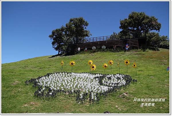 清境農場12.JPG