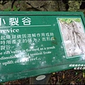 社頂自然公園14.JPG