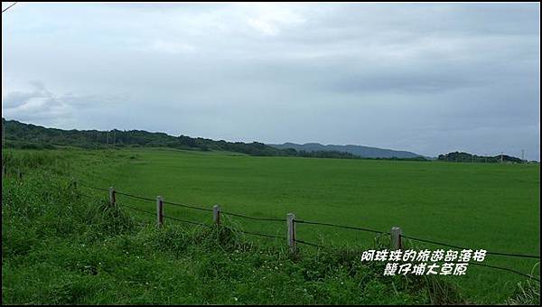 籠仔埔大草原1.JPG