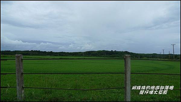 籠仔埔大草原10.JPG