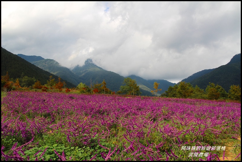 武陵農場41.JPG 武陵農場41.JPG