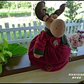 鹿野星蹤18.JPG