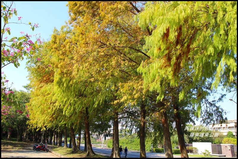 羅東運東公園18.JPG 羅東運東公園18.JPG