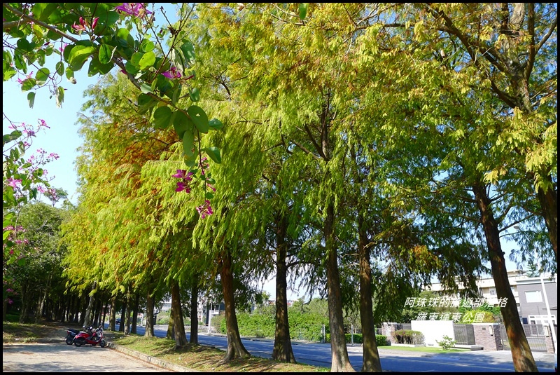 羅東運東公園40.JPG 羅東運東公園40.JPG