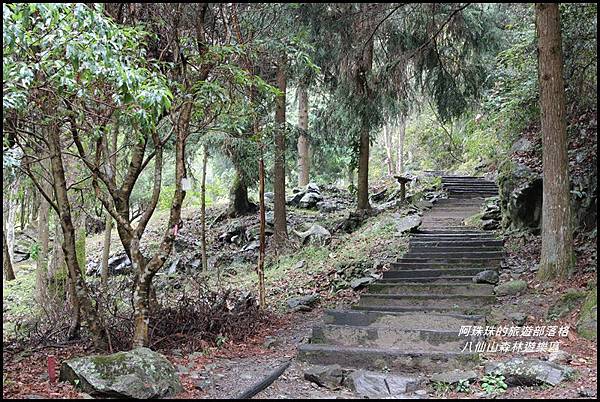 八仙山森林遊樂區8.JPG