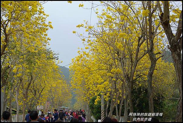 坑內坑步道34.JPG