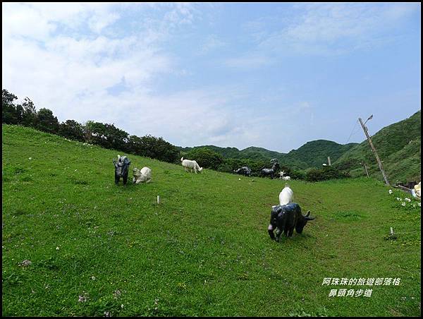 鼻頭角步道33.JPG