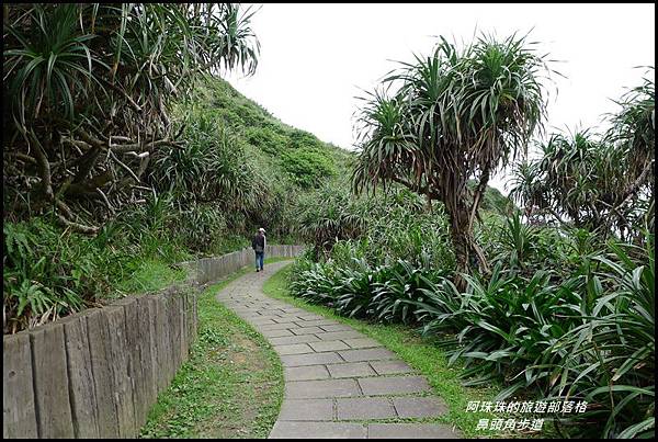 鼻頭角步道68.JPG