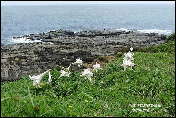 鼻頭角步道74.JPG