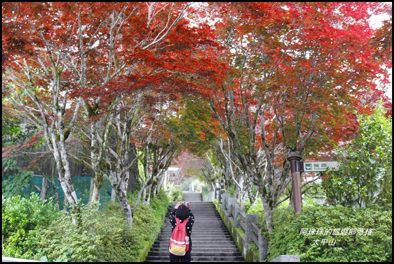 太平山13.JPG 太平山13.JPG