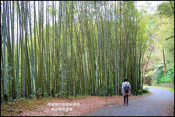 瑞里綠色隧道2.JPG 瑞里綠色隧道2.JPG