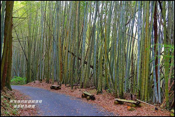 瑞里綠色隧道3.JPG 瑞里綠色隧道3.JPG