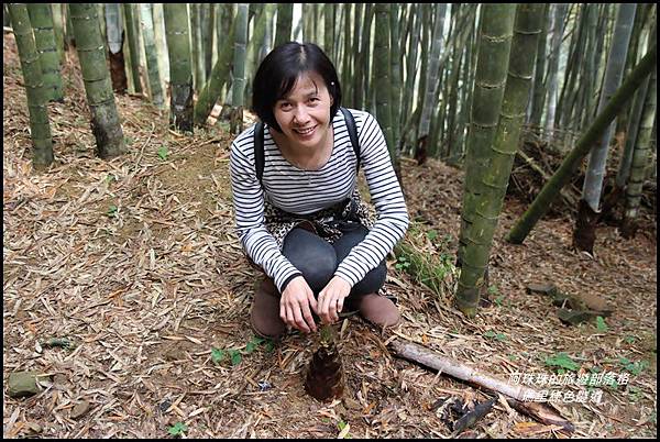 瑞里綠色隧道4.JPG 瑞里綠色隧道4.JPG