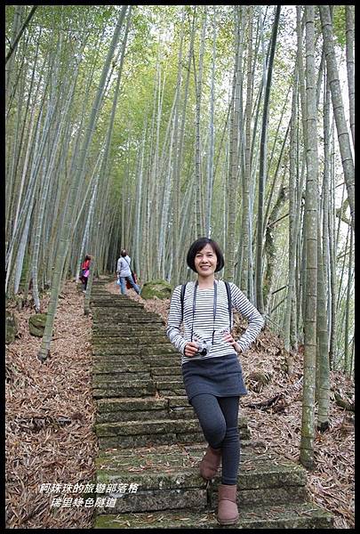 瑞里綠色隧道14.JPG 瑞里綠色隧道14.JPG