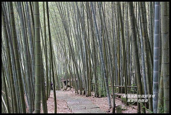 瑞里綠色隧道15.JPG