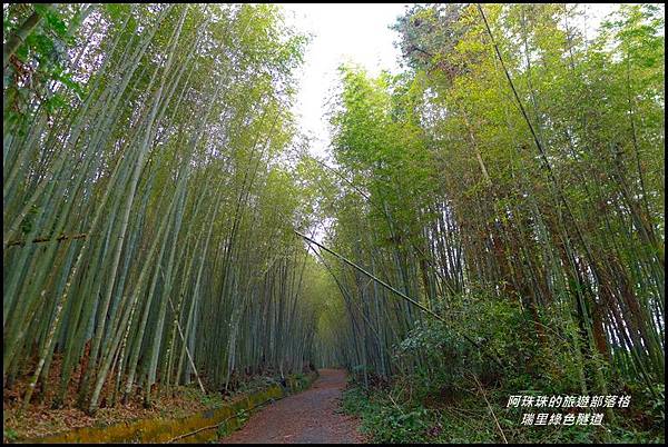 瑞里綠色隧道19.JPG