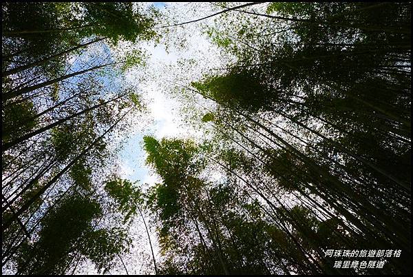 瑞里綠色隧道21.JPG 瑞里綠色隧道21.JPG