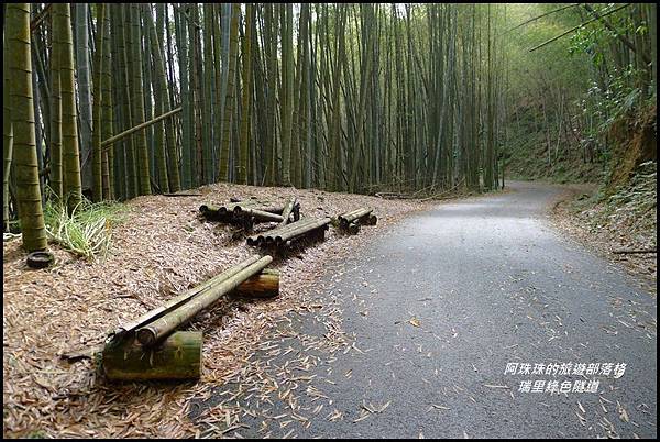 瑞里綠色隧道22.JPG 瑞里綠色隧道22.JPG